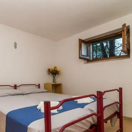 Locazione Turistica Il Pineto 1 Daire